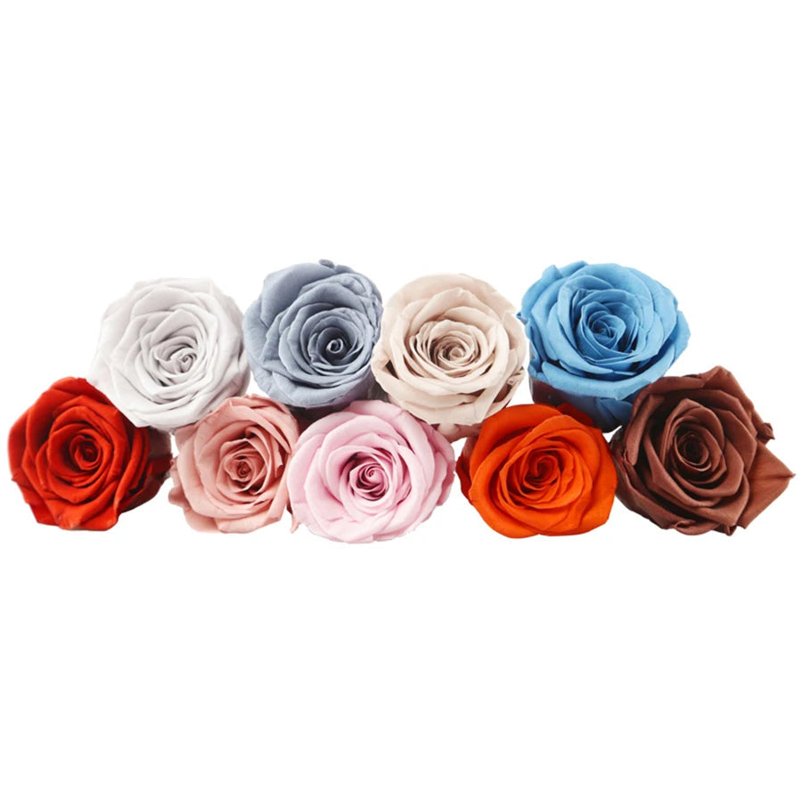 B Grade 4-5Cm Preserved Roses Preserved Flower Fresh Natural Real Eternal Rose Immortal Rose Flowers Florist DIY Floral Material