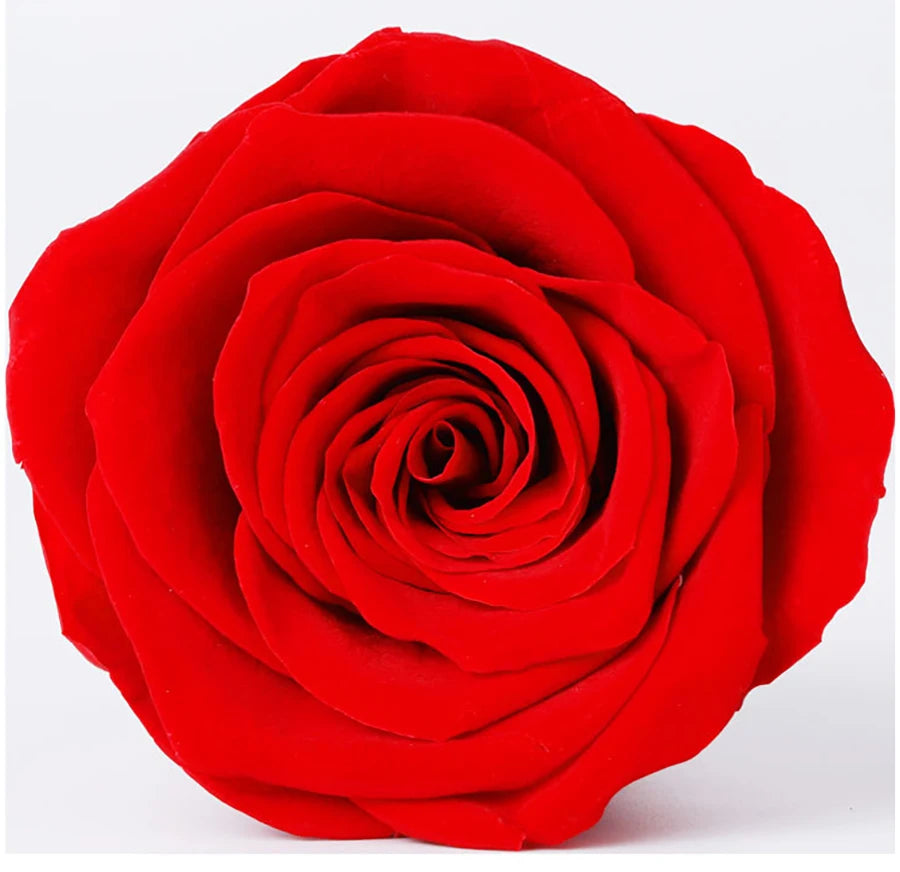 B Grade 4-5Cm Preserved Roses Preserved Flower Fresh Natural Real Eternal Rose Immortal Rose Flowers Florist DIY Floral Material